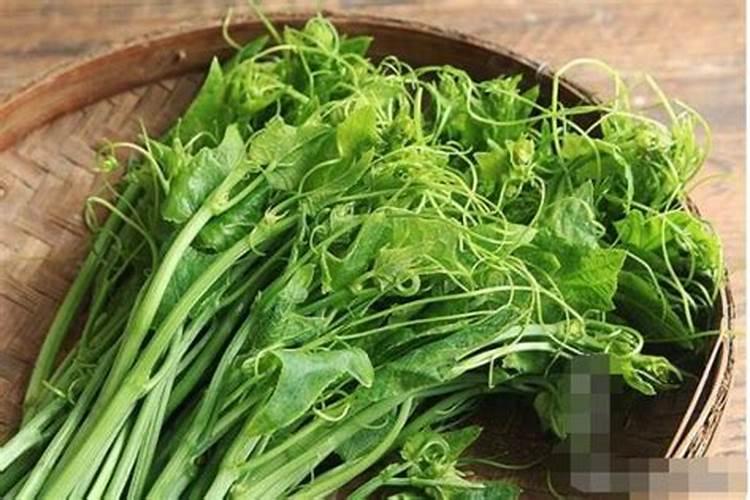 云天化171315复合肥下苹果树效果如何
