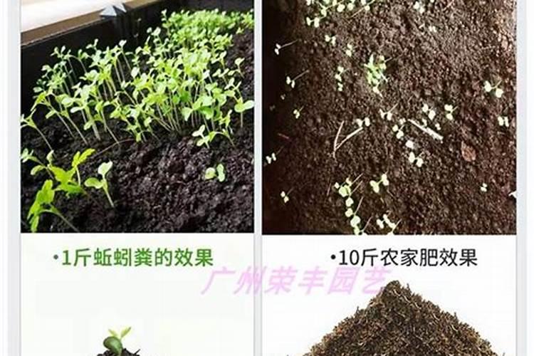 大量元素水溶肥的作用与功效 不同种类大量元素水溶肥料的用途
