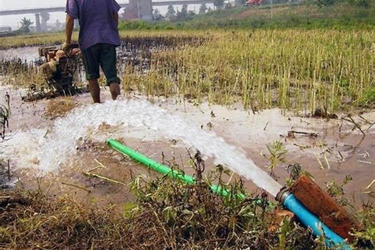 刚刚施用肥料后就下雨放水,肥料会流失掉吗？