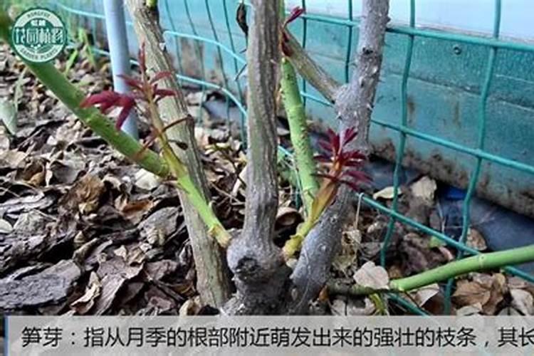 宝木隆木门质量怎么样