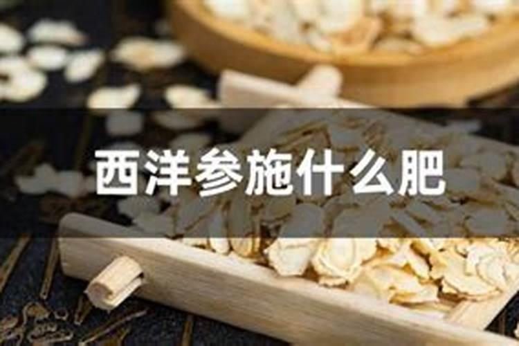 怎么识别植物休眠期