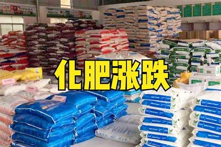 种植花生,如何施用钾和钙？