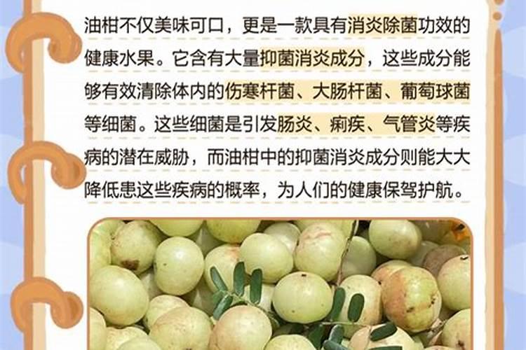 油甘子的功效与作用有哪些？