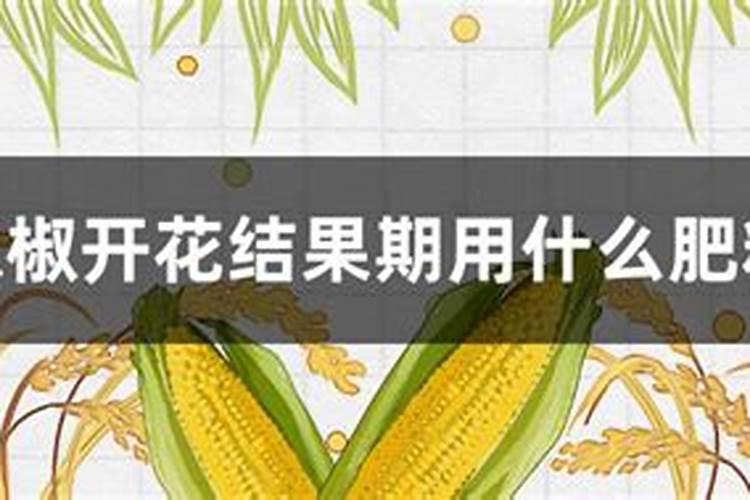 有哪些花需要磷肥