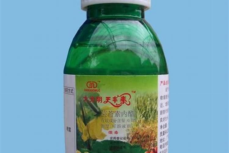 豆浆能浇花吗