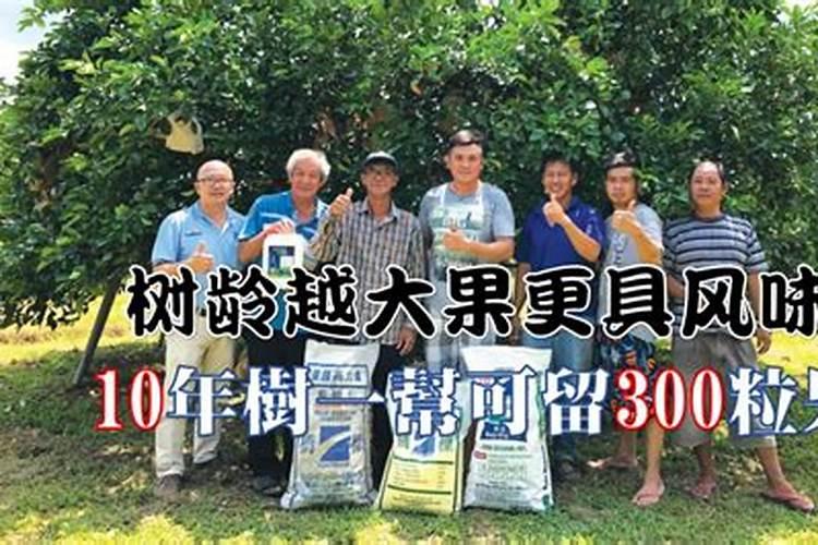 哪种肥料促进开花结果