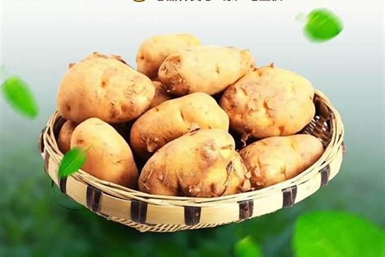 挖洋芋前打什么农药最好？