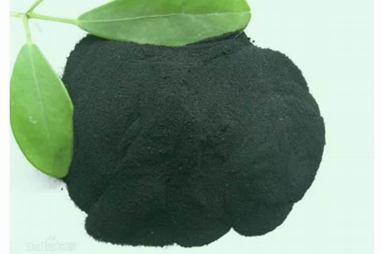 广东可以种植双红树莓吗