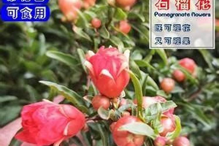 复合肥能和尿素一起混合使用吗