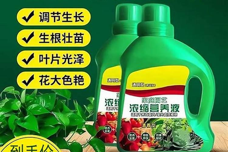 营养土哪个品牌的便宜还好