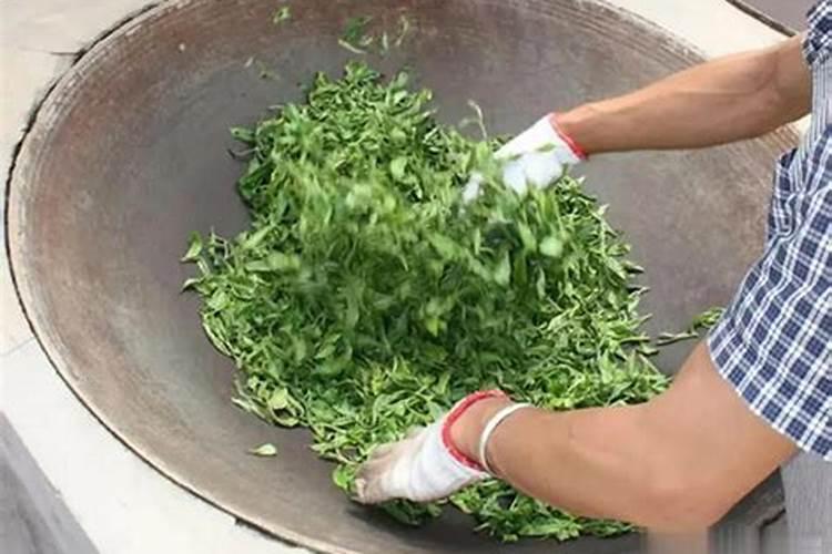 什么是鱼蛋白肥料,鱼蛋白肥料作用及使用方法
