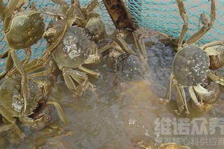 果树种植中的水溶肥怎么样才算好？