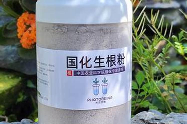 生根最快的肥料是什么呢？怎么使用呢？