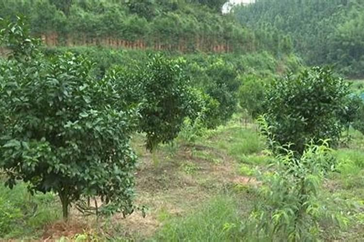 杭州泰媞雅家居有限公司怎么样？