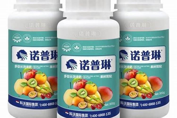 冬桃管理技巧有哪些？