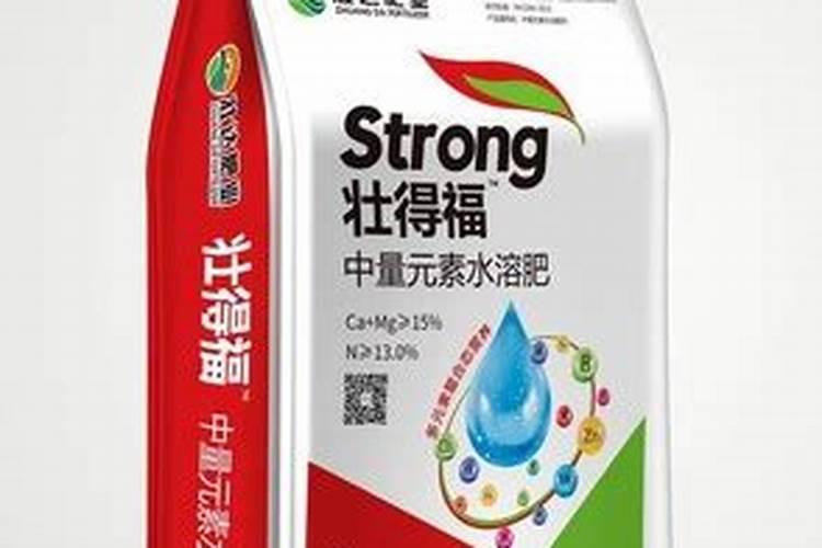 红星凤梨烂根了是怎么回事 红星凤梨烂根了怎么补救