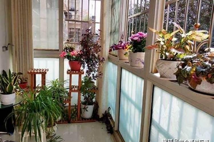 养花的十大最佳肥料