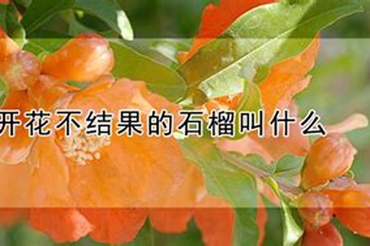 方片钾是颗粒水溶肥吗？为什么敢称颗粒水溶肥第二人呢？