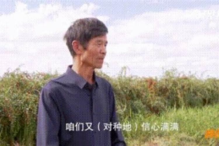 橘子施什么肥最好