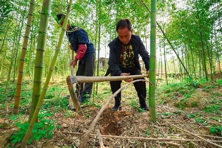 硫酸亚铁能与氮肥磷肥钾肥混用吗