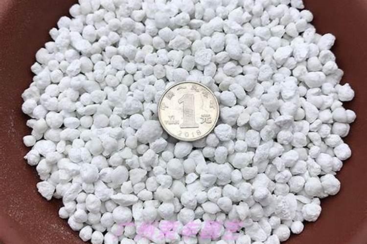 怎样给月季花上花肥