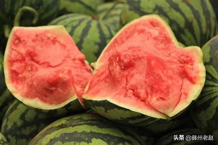 月季要施什么肥料