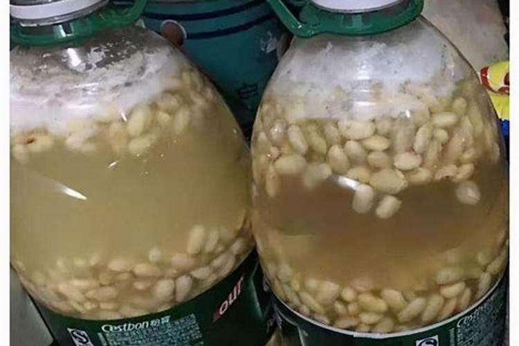 黄豆如何做肥料？
