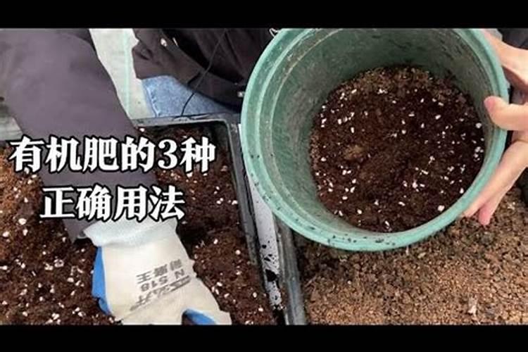 为什么氮肥壮叶磷肥壮茎钾肥壮果