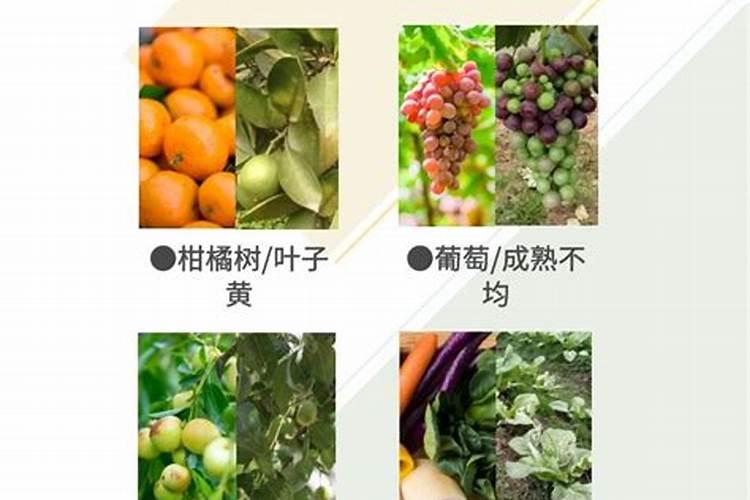如何辨别尿素的好坏？