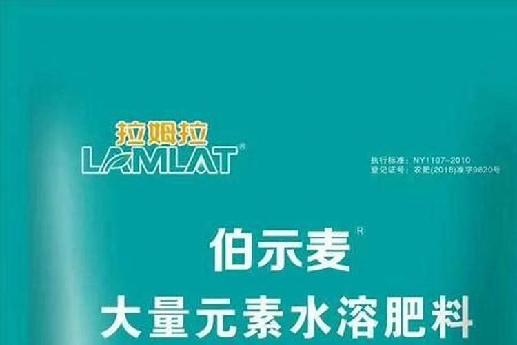 家里杏子快成熟时叶子成这样了,请问怎么治