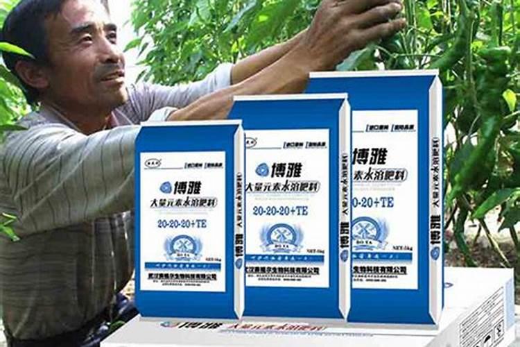 桃子套袋用哪种袋子好