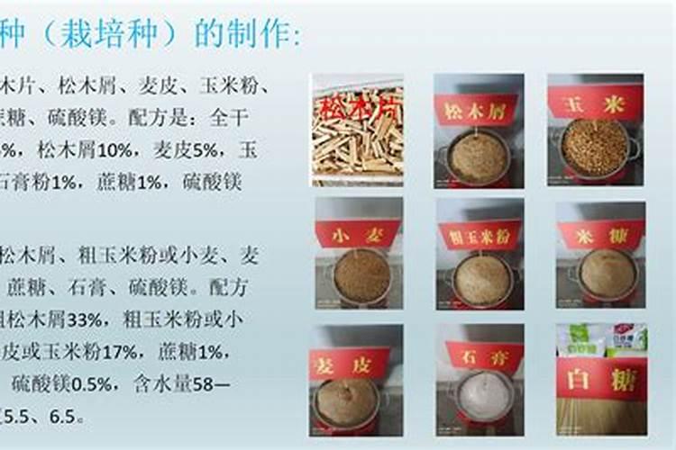 柠檬树喜欢什么土壤 柠檬树的光温环境