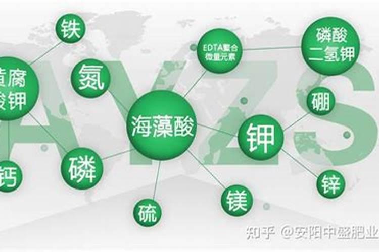 毛利比肩飞天茅台!藏格矿业上半年近7成收入是净利,碳酸锂为何这么...