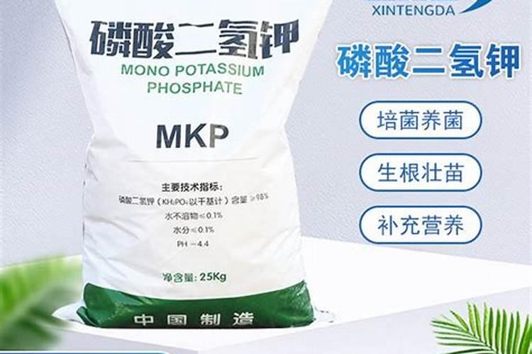 板栗园如何施用硼肥？