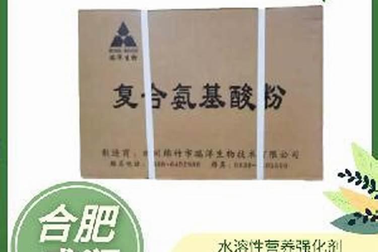 战舰少女或者战舰少女r有内购破解版吗？看百度搜索貌似好像有？百度...