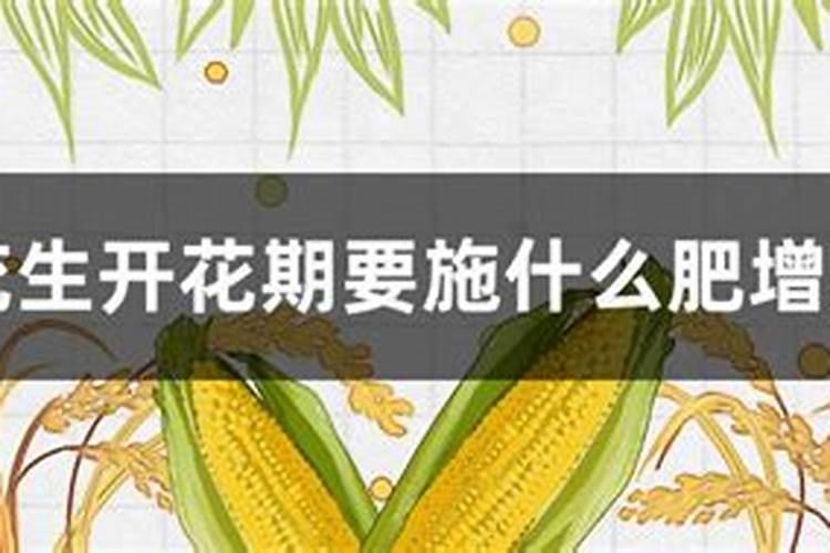 哪些肥料适合滴灌施肥