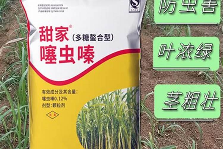 甘蔗用什么肥料好呢？