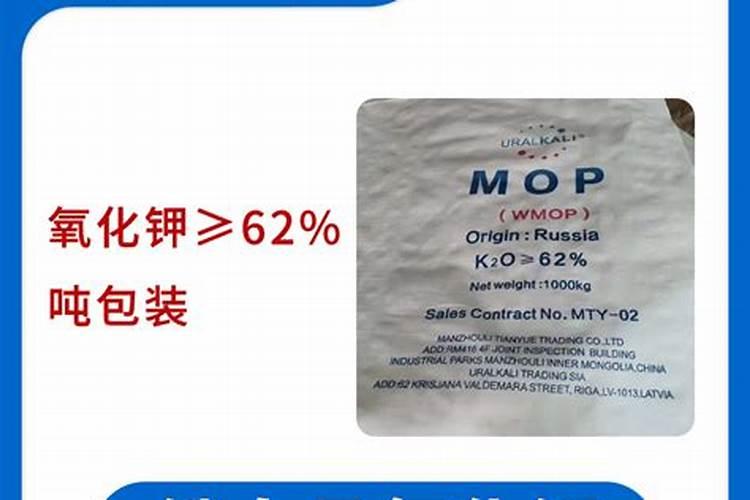 葱施什么肥好