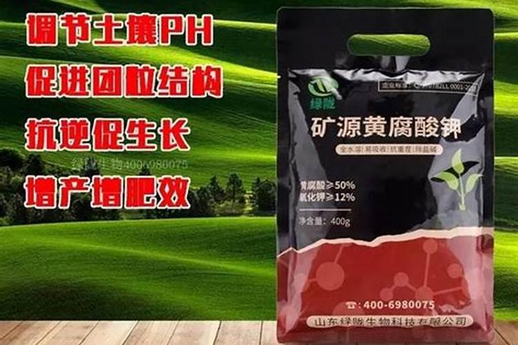 乳酸菌能浇花吗