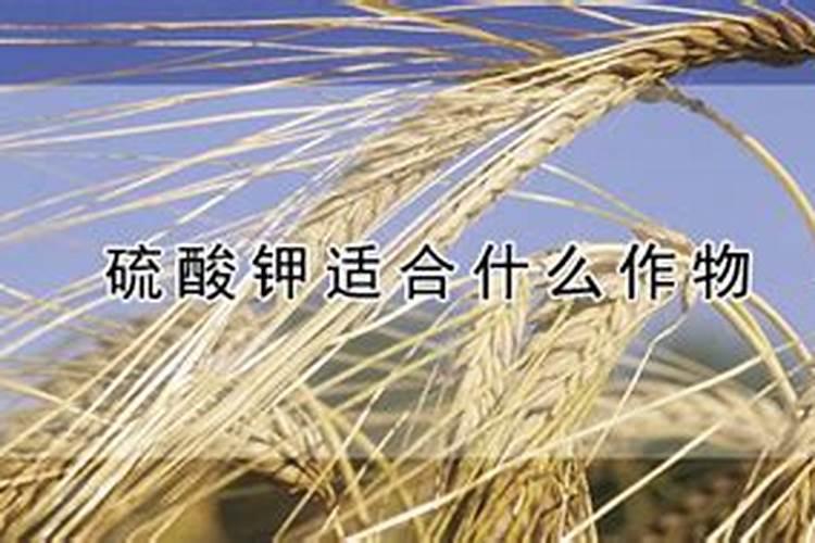 长期施用硫酸钾肥料影响土壤酸碱性吗？