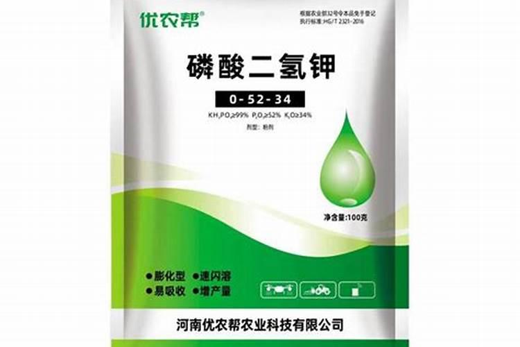小麦什么时候喷芸苔素 如何喷施效果好