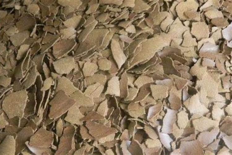 菜籽饼肥适用于番茄基肥吗？