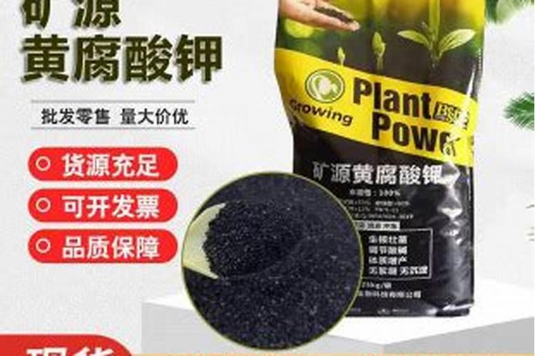 水溶肥有哪些