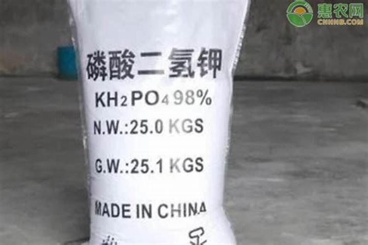 大棚油桃膨大期的管理