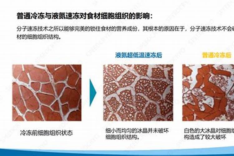 种多肉法师一定要用颗粒土吗
