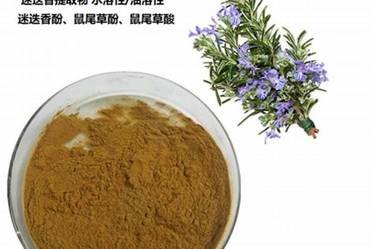 茄子苗移栽后怎么管理