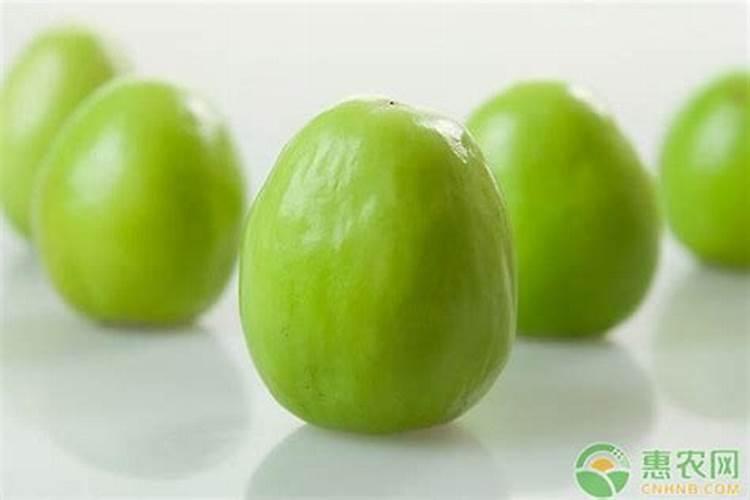 大青枣膨果期喷氨基酸水溶肥可以吗