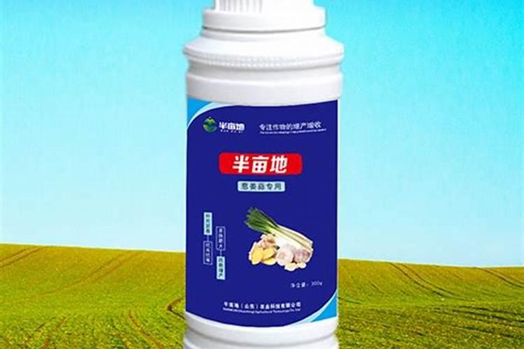 兰花多久浇一次水肥 兰花的水肥管理要点