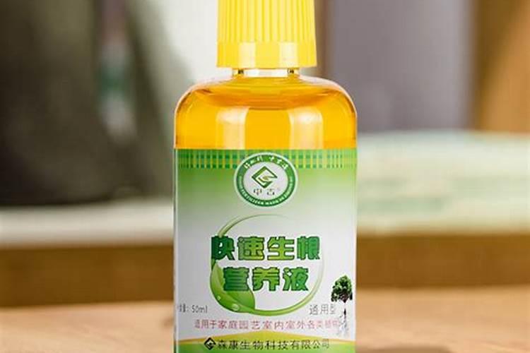 生根壮根的肥料有哪些
