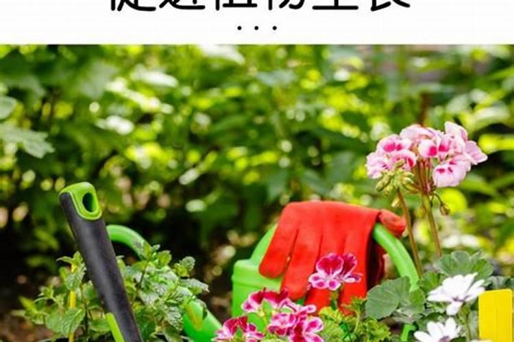 复合肥能浇什么花